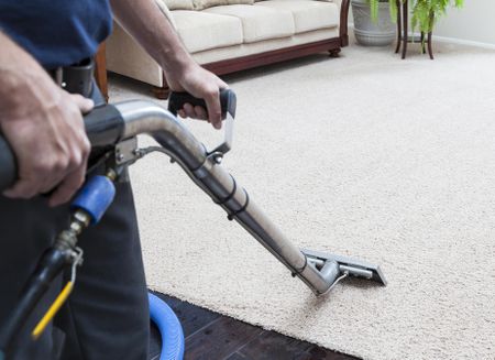 The Top 6 Expert Tips For Carpet Cleaning Companies In 2023