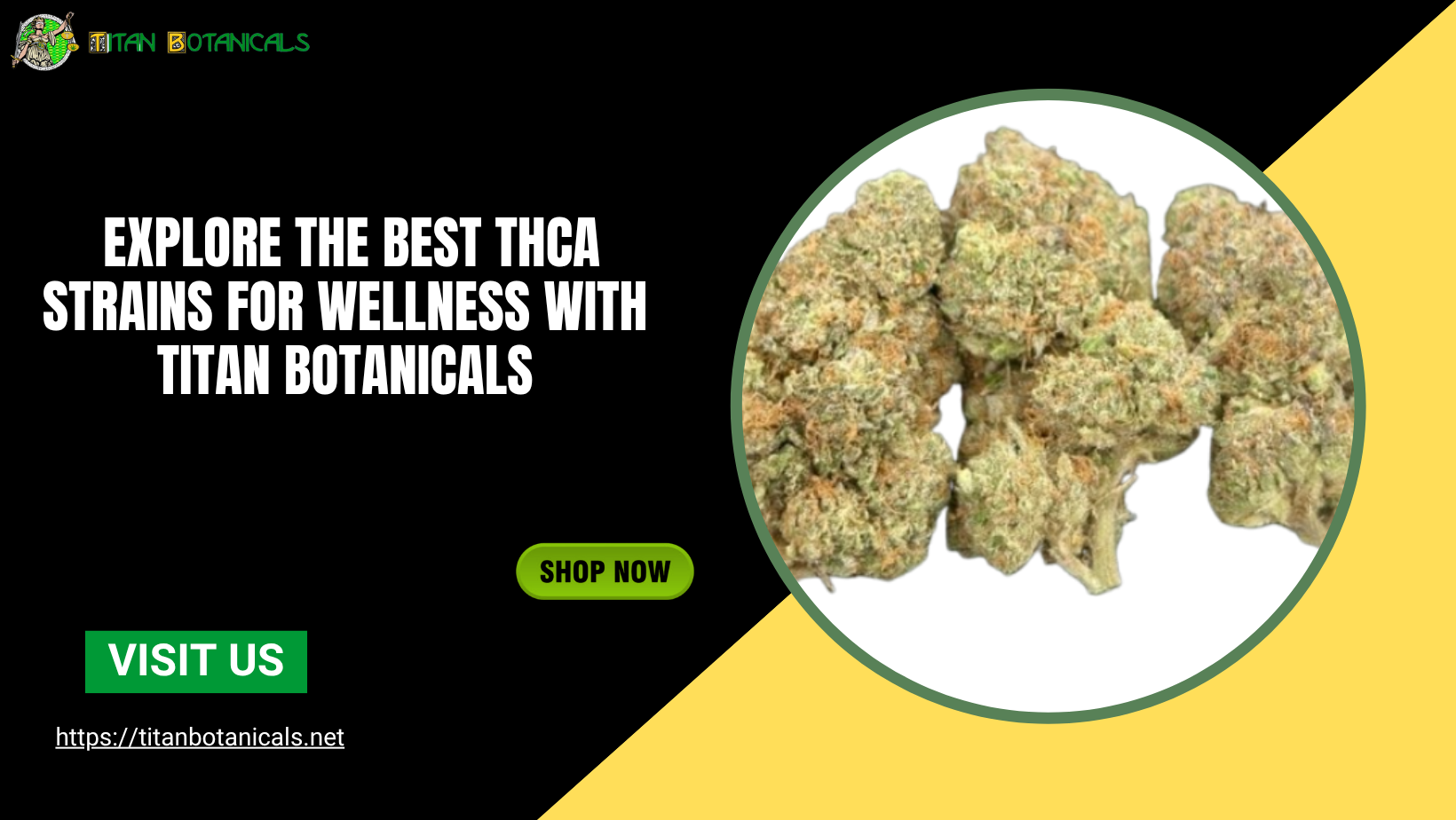 THCA strains