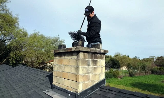 animal stuck in chimney