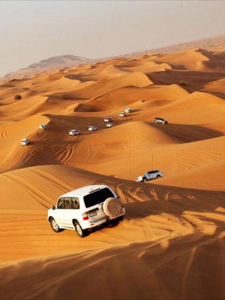 Dune Buggy Ride with Desert Dinner in Dubai – Thrill & Arabian Feast
